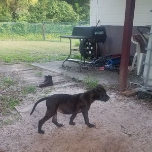 Meet your Posher, Cameron